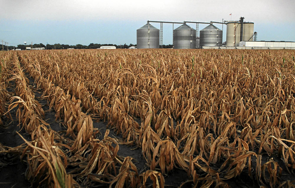 La Niña may bring favourable weather, boosting optimism about food security in Southern Africa
